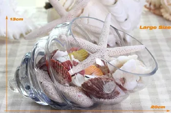 O. RoseLif 1 VNT kristalų shell stiklo vaza mini kūrybinės dubenį šiuolaikiniai baldai namų apyvokos dovana vestuvių dekoravimas